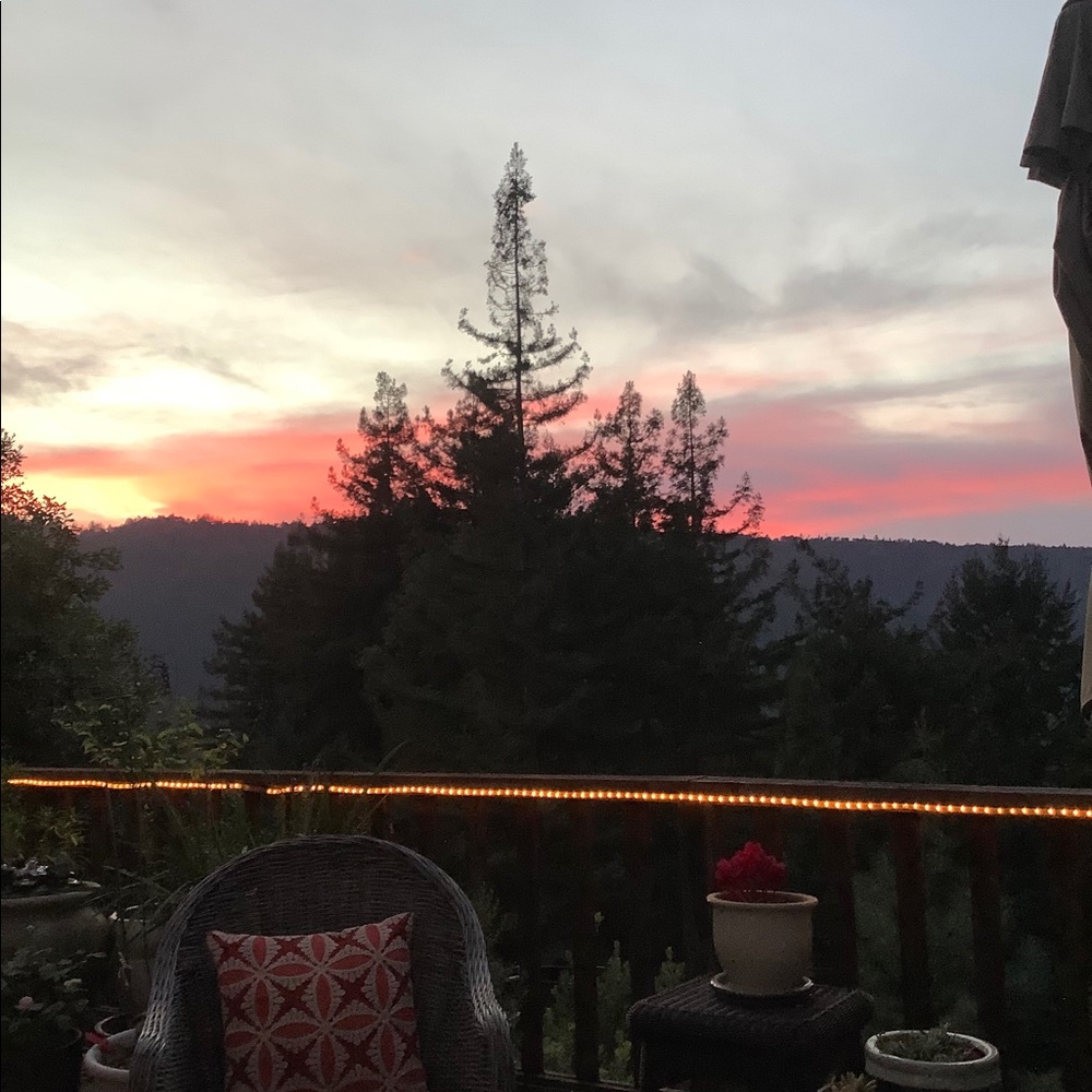 Meet your Posher, Charlotte